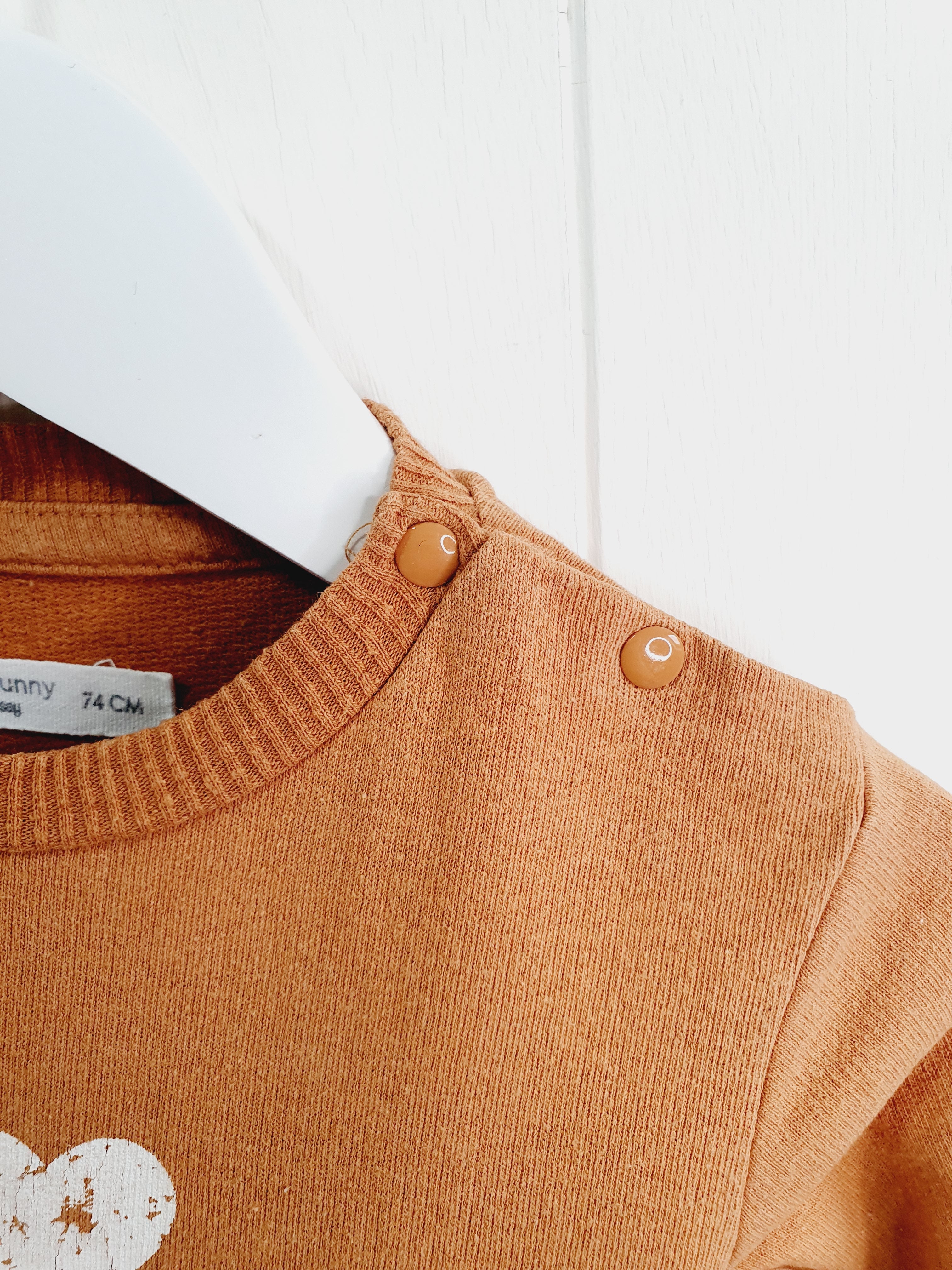 Fox & Bunny I love daddy sweatshirt 6-9 months