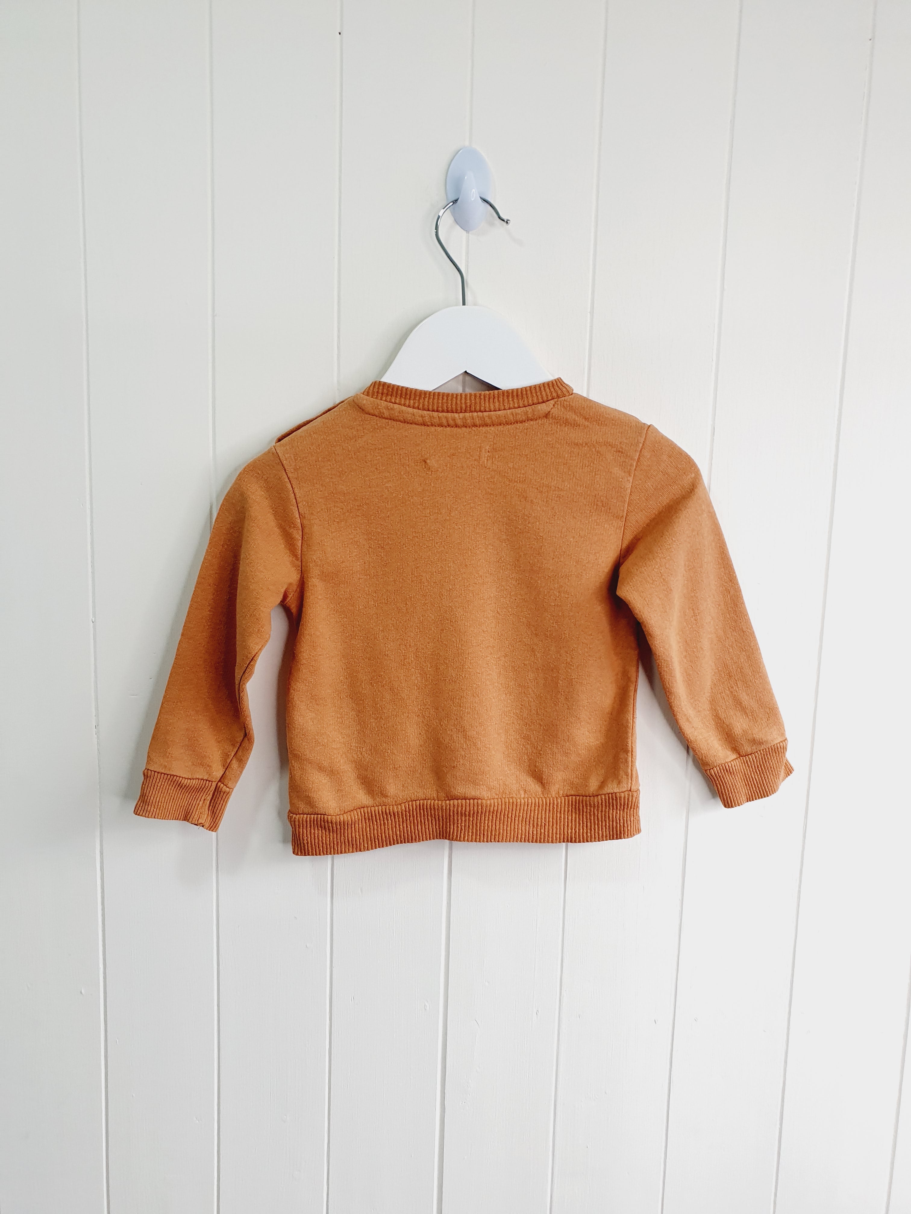 Fox & Bunny I love daddy sweatshirt 6-9 months