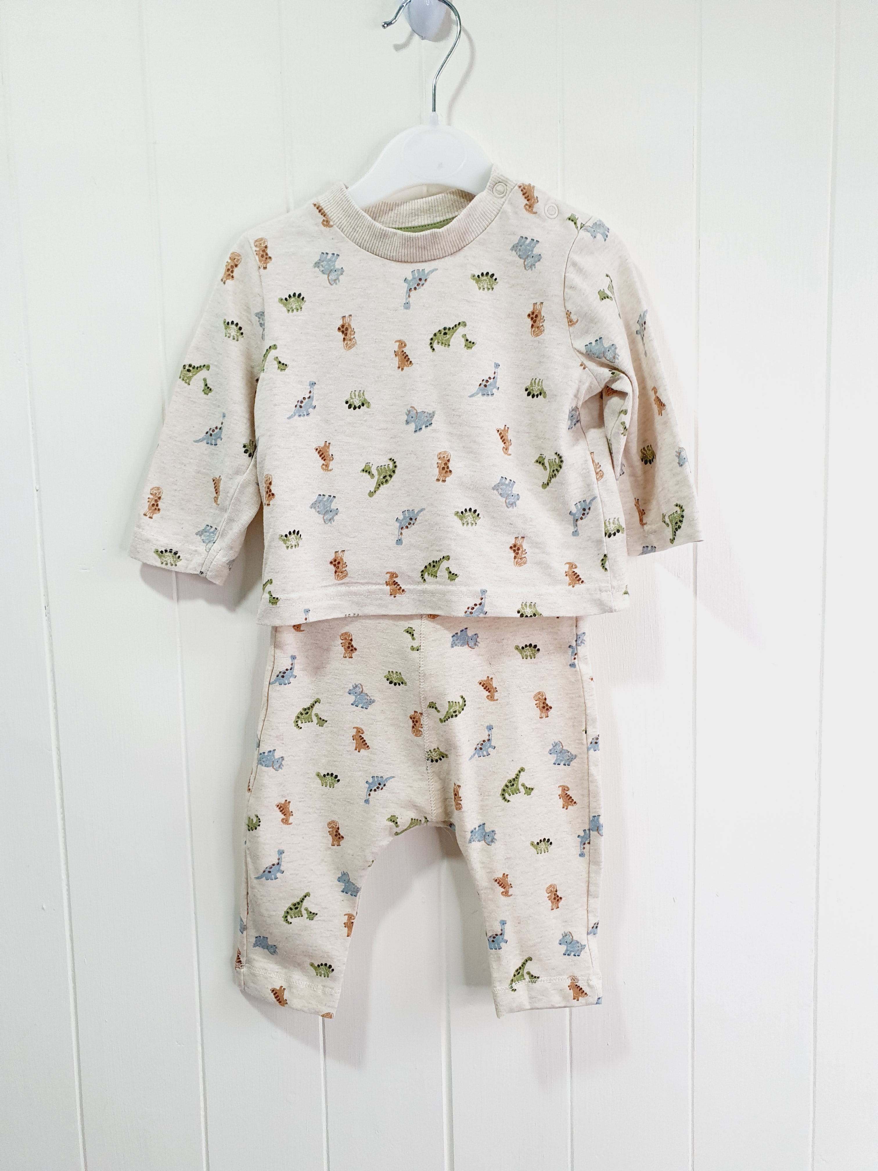 Nutmeg dinosaur print leggings and long sleeve top 0-3 months