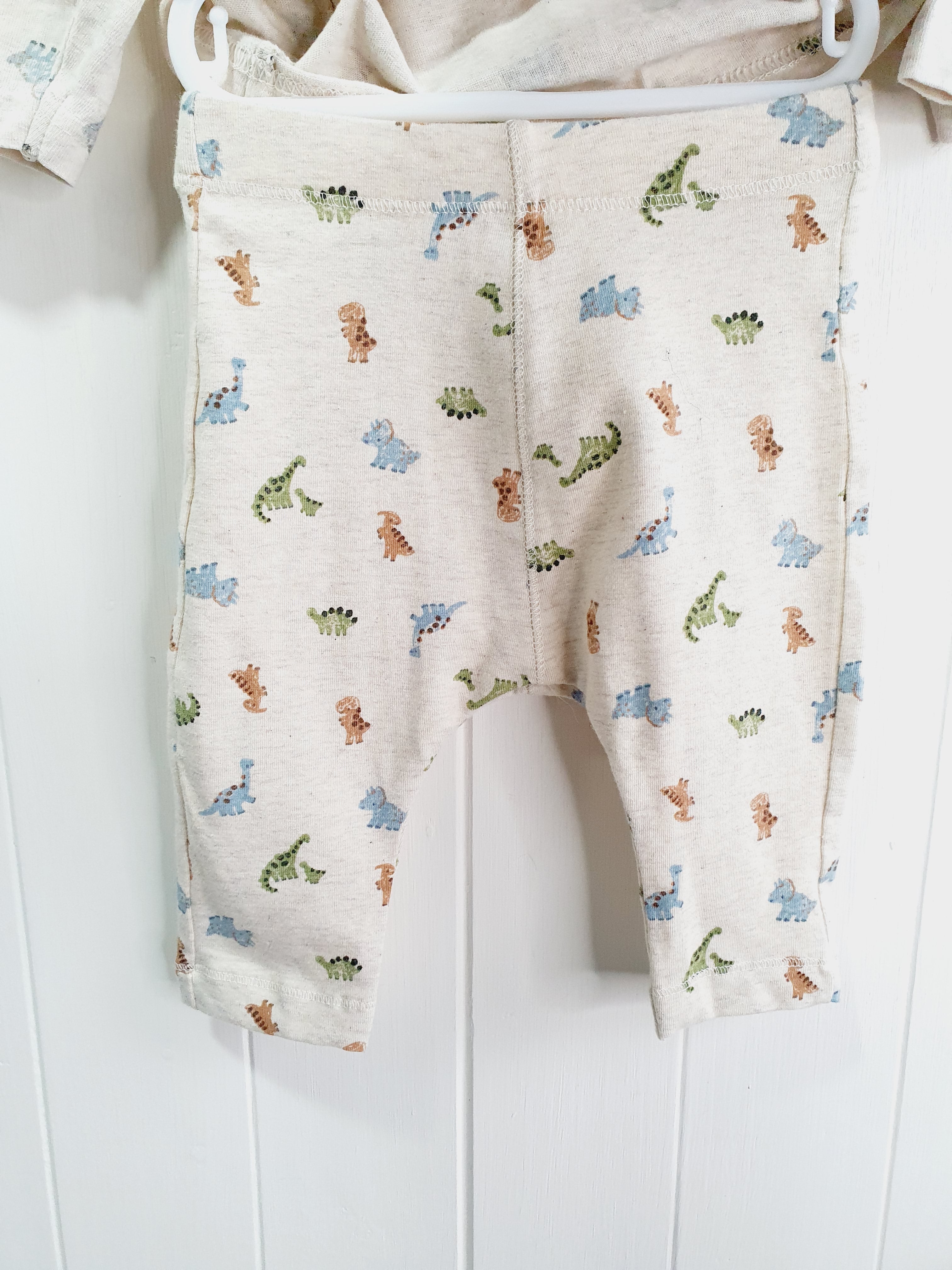 Nutmeg dinosaur print leggings and long sleeve top 0-3 months