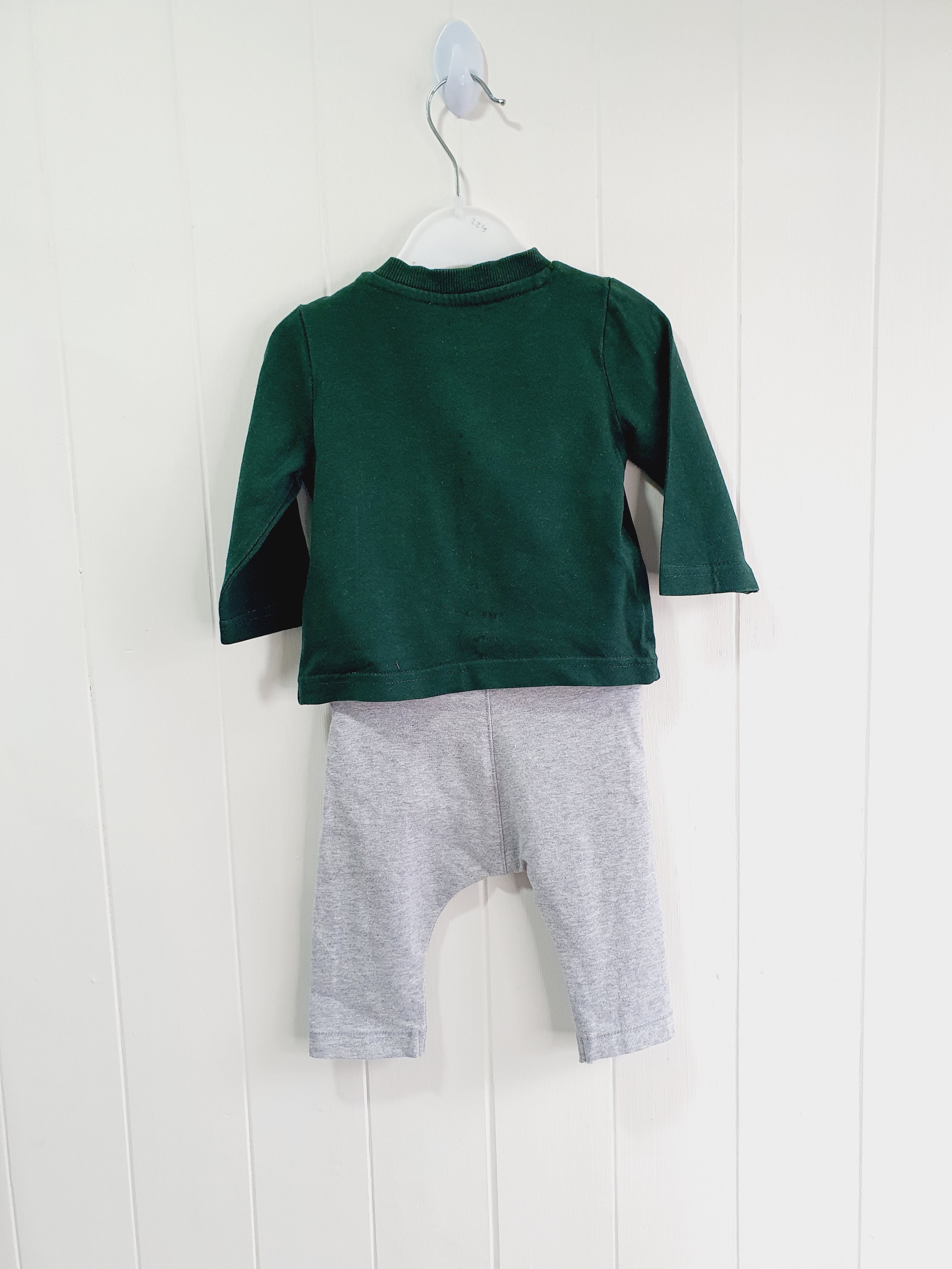 Nutmeg train applique leggings and long sleeve top set