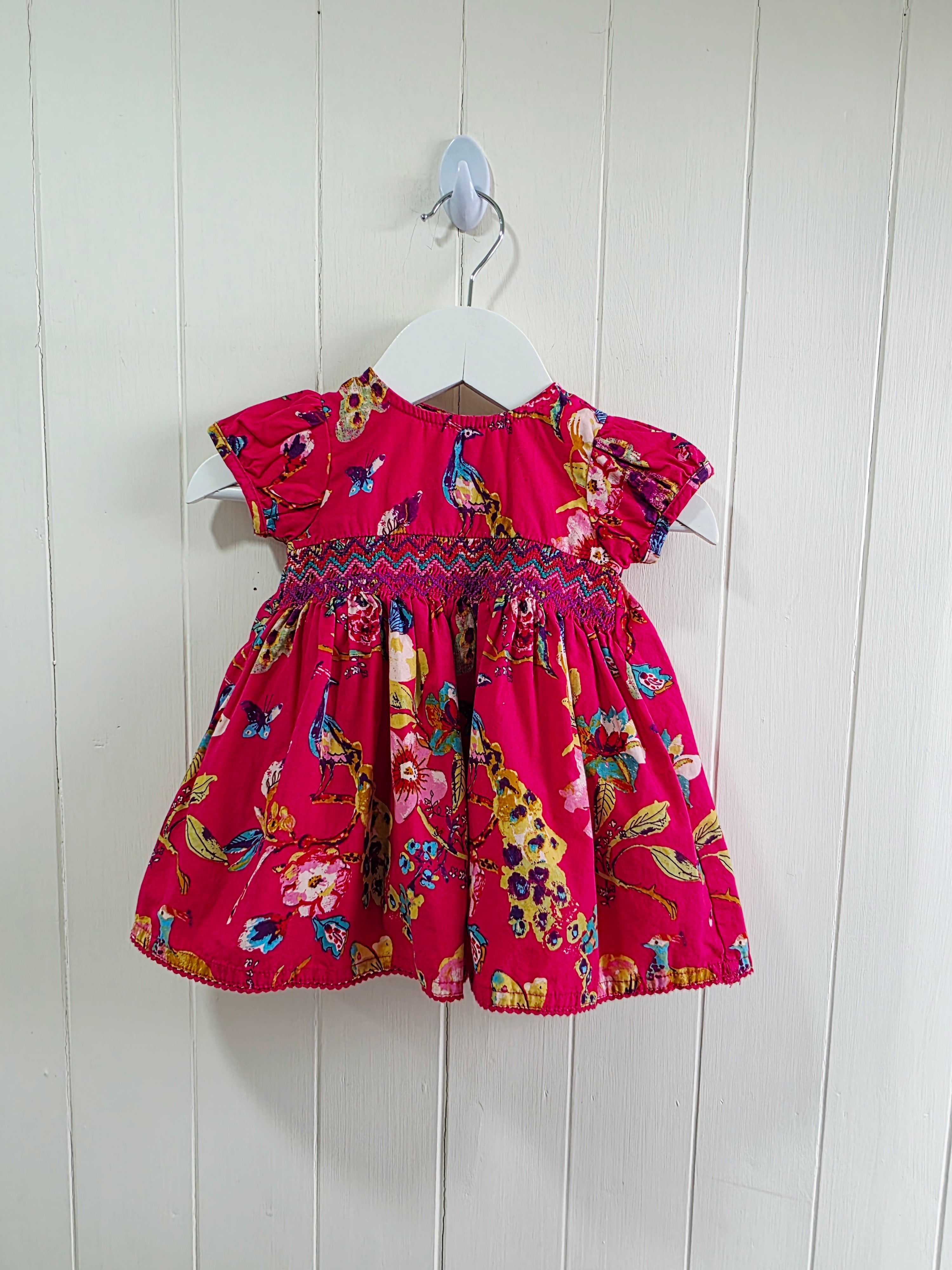 Next - up to 3 months vibrant peacock and floral print cap shoulder dress